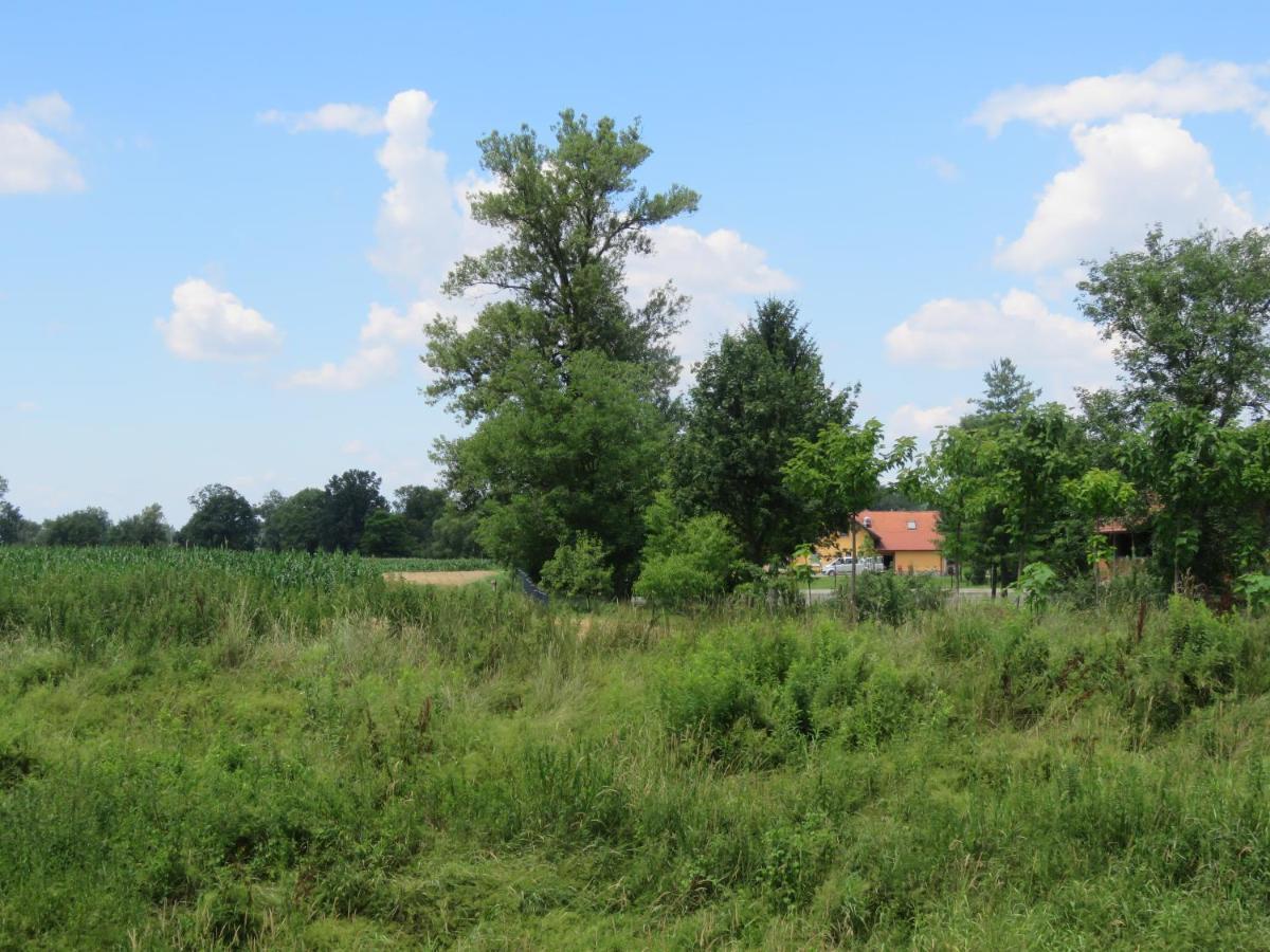 Mill House Apartment And Camping Лютомер Екстер'єр фото